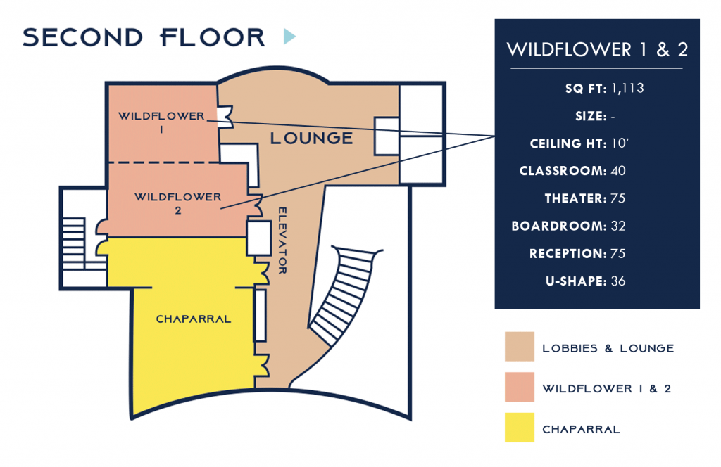 Wildflower 1 & 2